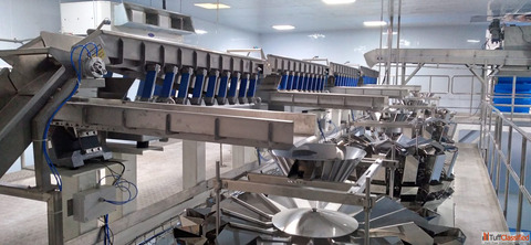 Vibratory Feeder Conveyor for Smooth Controlled Consistent Material Flow