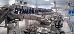 Vibratory Feeder Conveyor for Smooth Controlled Consistent M...