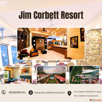 How to Choose the Right Resort for Your Jim Corbett Safari T...
