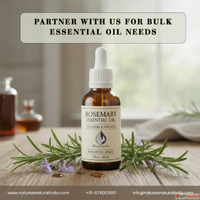 Need Reliable Bulk Essential Oils for Sale for Manufacturing...