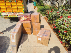 Popular Packers And Movers