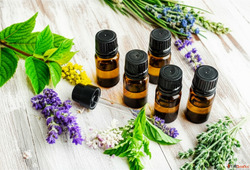 Source the Best Essential Oils Globally Aromaaz Internationa...