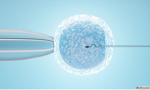 Best IVF Abu Dhabi
