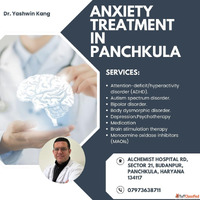 Best Mental Health doctor in Panchkula