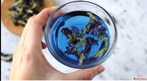 Thyrafemme Balance - New Japanese-Inspired Thyroid Supplements - health