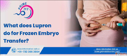 What Does Lupron Do For Frozen Embryo Transfer