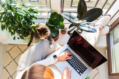 Freelancers on the Move Essential Rules for Relocating Successfully