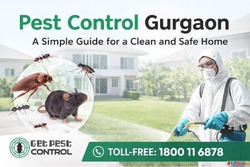 Pest Control Gurgaon - A Simple Guide for a Clean and Safe H...