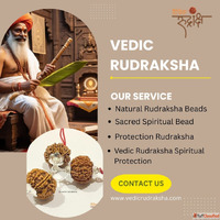Pure Rudraksha in Haridwar Sacred Beads for Divine Blessings