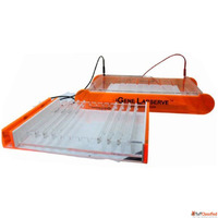 Advanced Horizontal Gel Electrophoresis for Accurate Sample ...