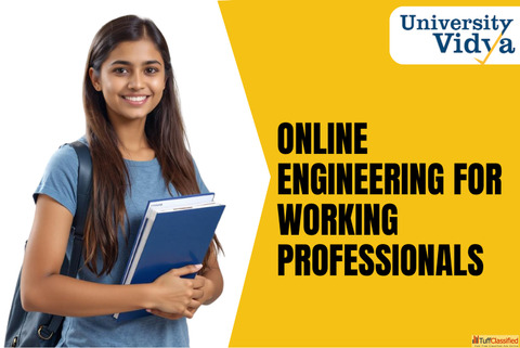 Flexible Online Engineering for Working Professionals Programs