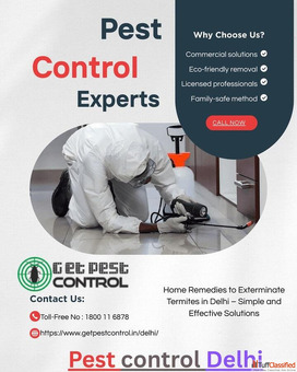 Home Remedies to Exterminate Termites in Delhi - Simple and Effective Solutions