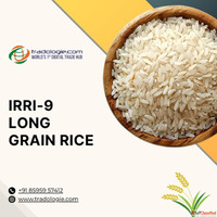 Buy IRRI-9 Long Grain Rice from India Bulk Rice Export
