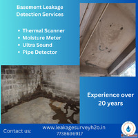 Basement Leakage Detection Services
