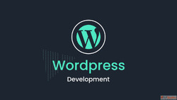 Leading WordPress Development Company in Ahmedabad