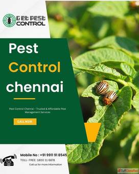 Pest Control Chennai - Trusted Affordable Pest Management Services