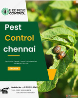 Pest Control Chennai - Trusted Affordable Pest Management Se...