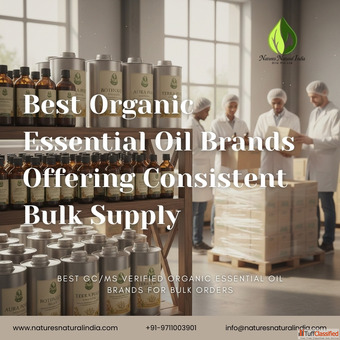 Best Organic Essential Oil Brands Offering Consistent Bulk Supply