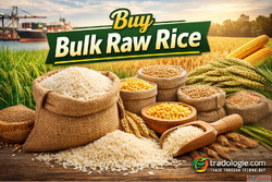 Buy Bulk Raw Rice from India Export Wholesale Rice