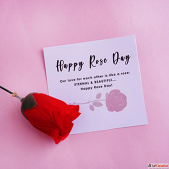 Rose Gift Online Fresh Beautiful Roses for Every Occasion - Giftalove