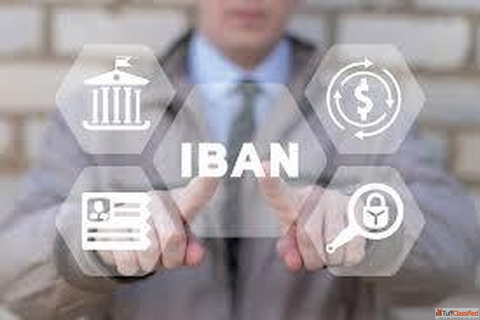 European IBAN Account Unlocking Seamless Payments Across Borders