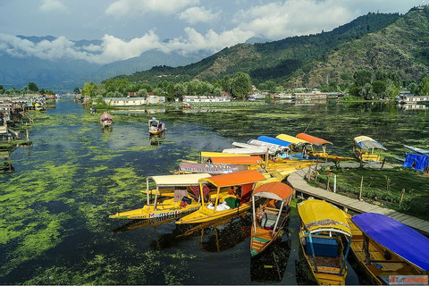 Srinagar Delights 4 Nights 5 days starting from 18000- Per Person