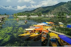 Srinagar Delights 4 Nights 5 days starting from 18000- Per P...