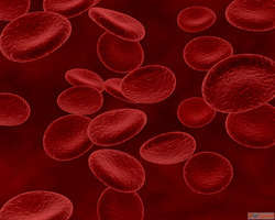 Supportive Homeopathy Treatment for Blood Cancer Patients