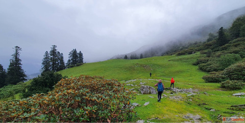Phulara Ridge Trek by Himalayan Dream Treks