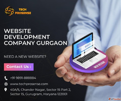 Website Development Services in Gurgaon with Tech Prosense