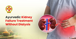 Kidney Failure Treatment Without Dialysis - Holistic Approac...