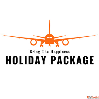 Visa Consultant in Gurugram