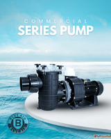 Energy Efficient Swimming Pool Pump - Buy Now