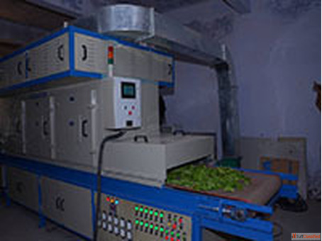 Microwave Heating Systems for Uniform and Rapid Industrial Processing