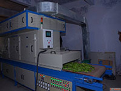 Microwave Heating Systems for Uniform and Rapid Industrial P...