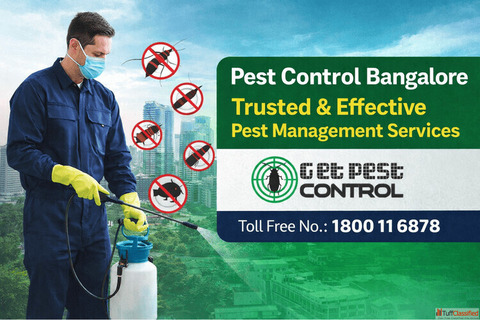 Pest Control Bangalore - Trusted Effective Pest Management Services