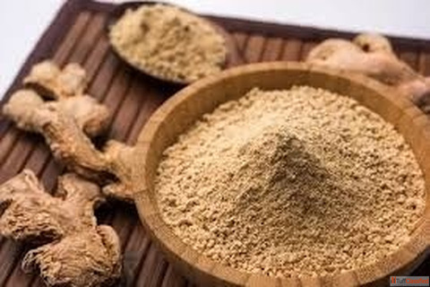 Fresh Ginger Powder Suppliers in India