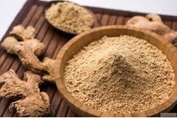 Fresh Ginger Powder Suppliers in India