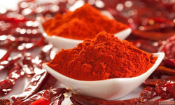 Red Chilli Powder Suppliers in India