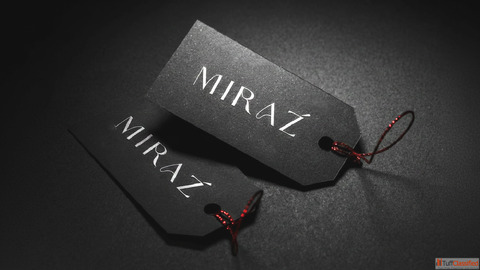 Website Designing with UI UX Focus WordPress Shopify