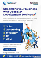 Expert Odoo ERP Development Services