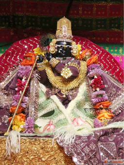 Best Time to Visit Radha Raman Ji Mandir Vrindavan Shri Radha Raman Darshan Guide