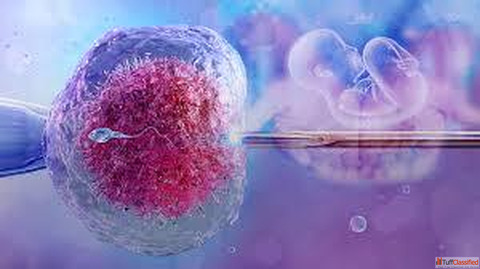 Experienced IVF Doctor in Jaipur - High Success Rates