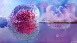 Experienced IVF Doctor in Jaipur - High Success Rates