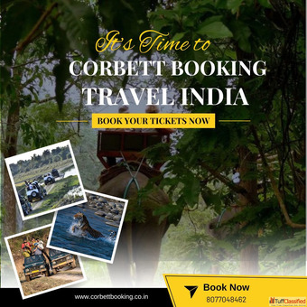 Bijrani Zone Corbett National Park Prime Spot for Tiger Spotting