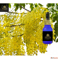 Premium Essential Oils Manufacturer Online Supplier