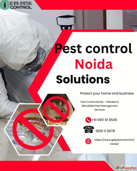 Pest Control Noida - Reliable Affordable Pest Management Services