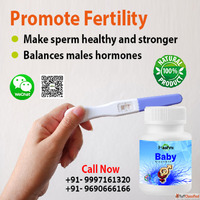 Baby Capsule for Nil or Low Sperm Count Treatment