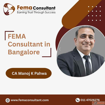 FEMA Consultant in Bangalore with Proven Expertise