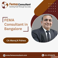 FEMA Consultant in Bangalore with Proven Expertise